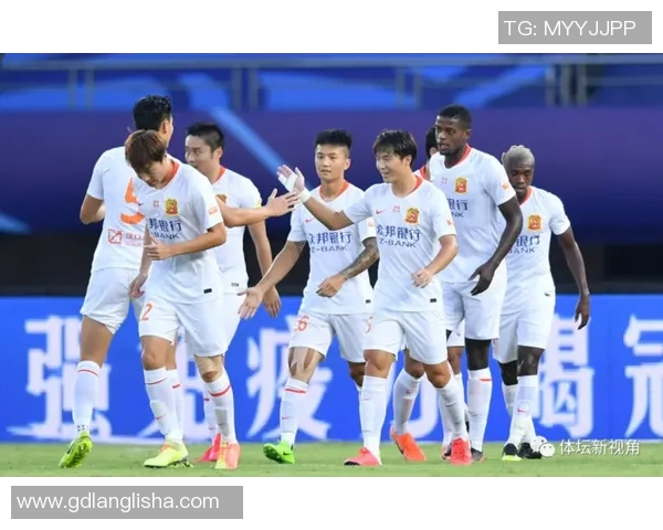 南京羽毛球队在精英赛中的技术表现分析与点评